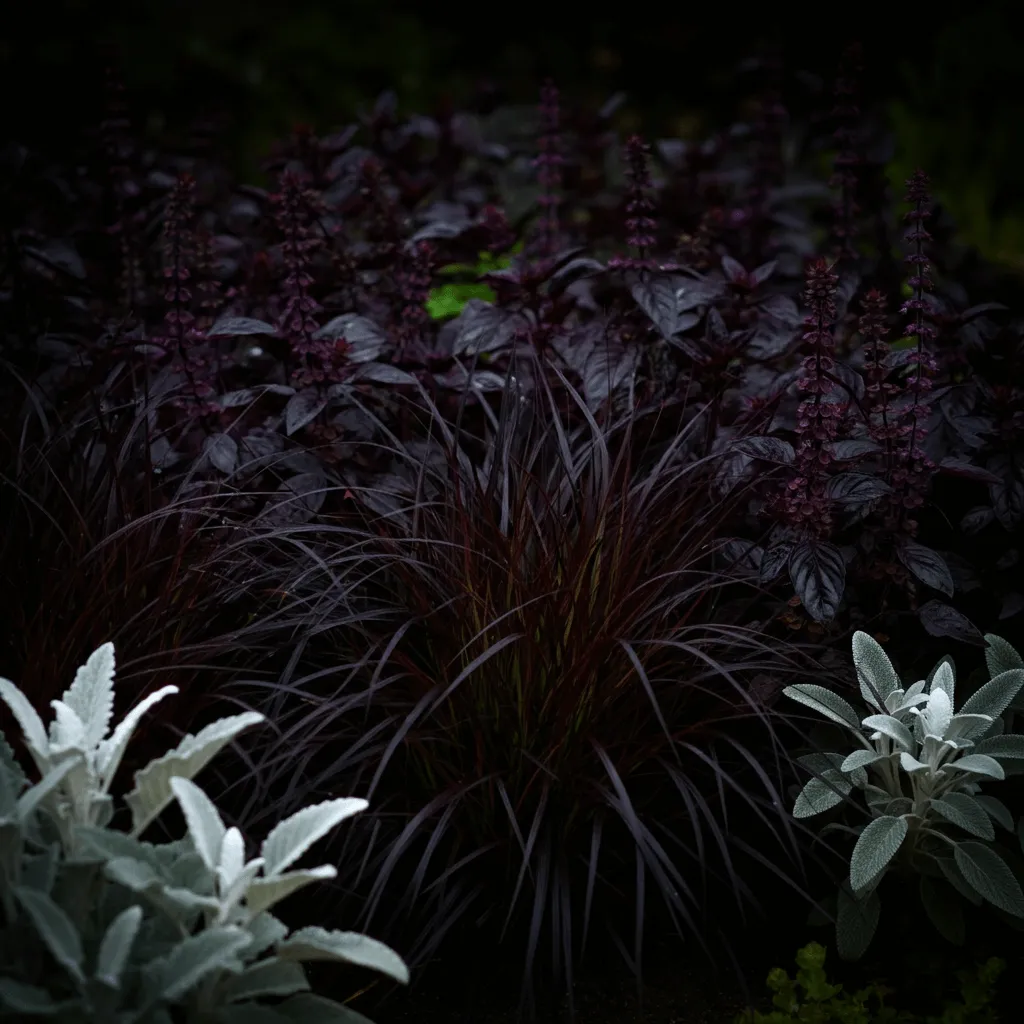 Dark Mysterious Garden 