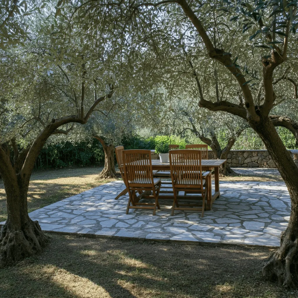 Olive Tree Privacy